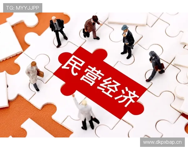 中国民营企业家创新发展之路：挑战、机遇与未来趋势分析