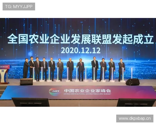 中国企业家联盟：推动创新与合作共赢，引领行业发展新风向